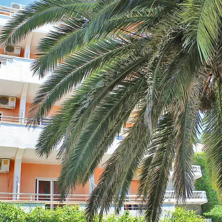 Palma Jaz Apartament Budva