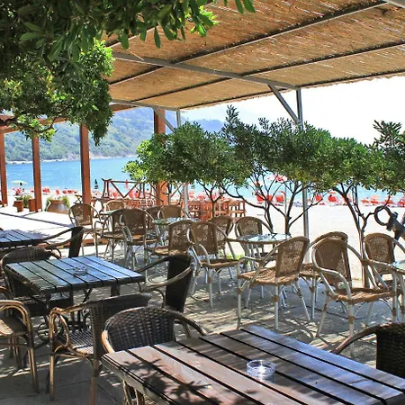 Apartament Palma Jaz Budva